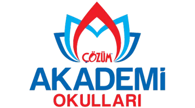 Çözüm Okulları